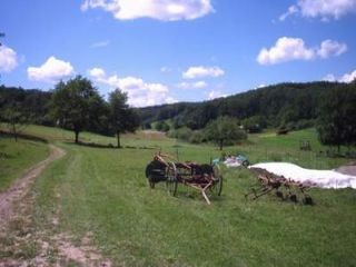 Ran Transylwahnja