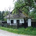 Aj tento dom a strom ukrývajú príbeh