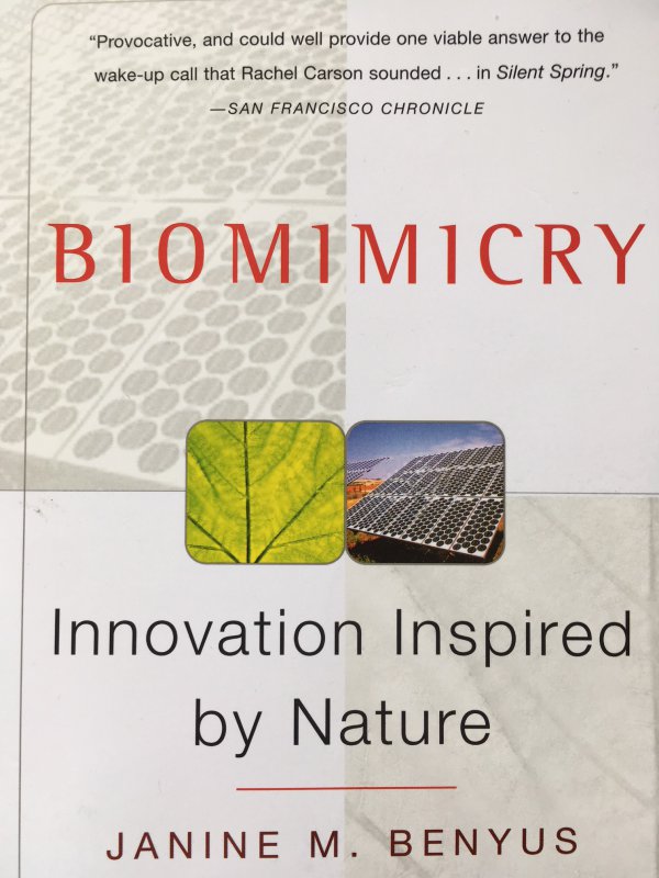 Biomimicry - Innovation Inspired by Nature