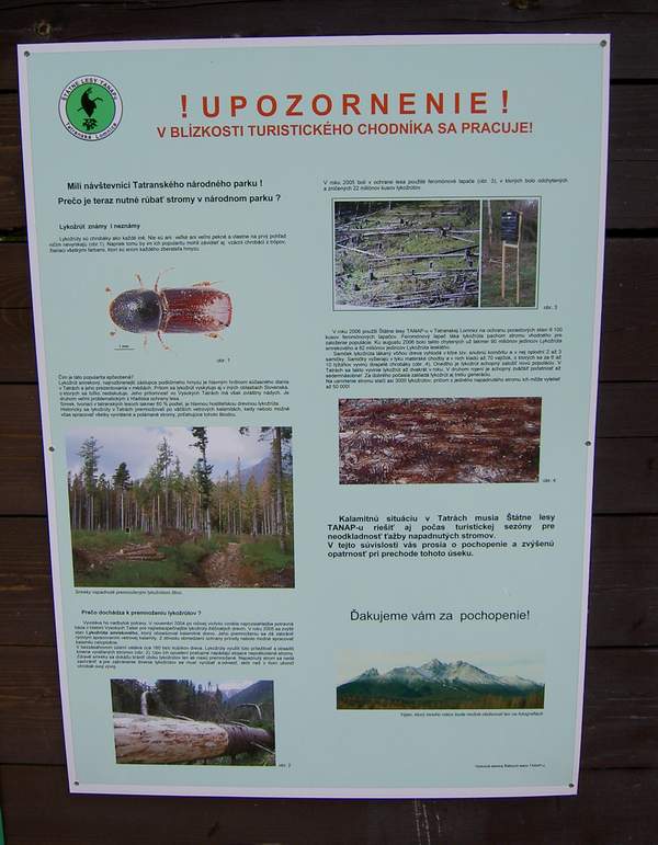 Lykožrút a ťažba