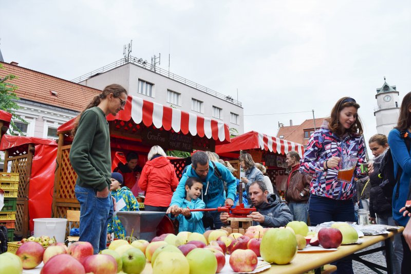 Vlastnoručne vylisová ovocná šťava