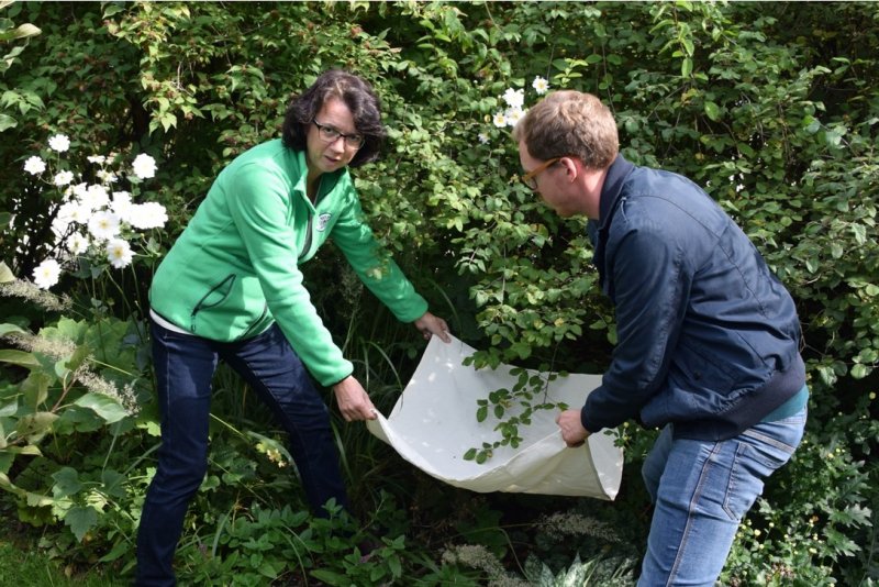 Záhrada Die Garten Tulln
