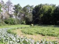 agrokruh
