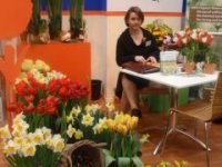 bio narcisy, tulipány