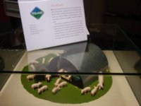 bio prasiatka