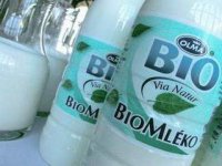 biomlieko