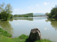 bodovský rybník