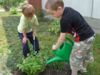 Deti starajú o bylinky,  foto: Materská škola Lienka, Želiezovce