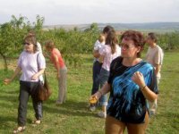 festival chutí