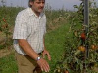 jiří karger v sade