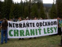 komparzisti