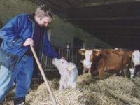 Moja,  foto: Sloboda zvierat