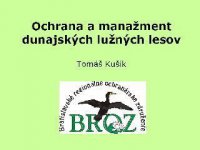 ochrana a manažment
