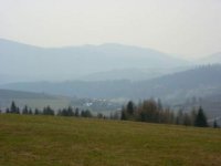 oľšavica