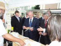 pán prezident gašparovič