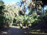 park