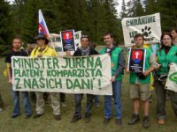 podpora greenpeace