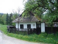 postav dom, zasaď strom
