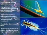 prezentácia biodiverzita