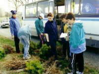 projekt „10 000 stromov...