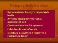 revitalizácia tokov