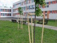 Školské arborétum