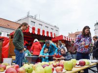 vlastnoručne vylisová ovocná šťava