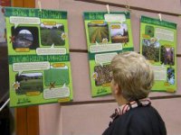 výstava bio-nebio