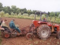 wwoof na ekofarme v anglicku