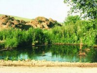 zrkadlo