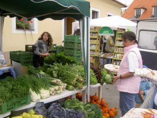 Biozelenina Country Life