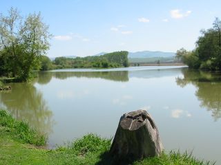 Bodovský rybník