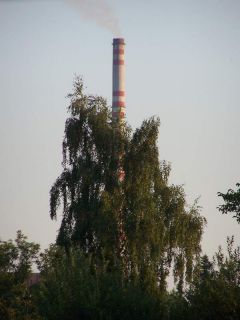 Kto to kuká spoza mňa?
