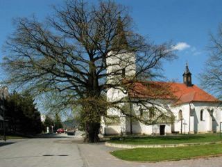 Lipa v Lipanoch