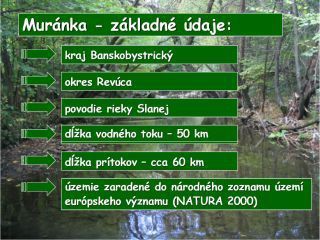 Muránka