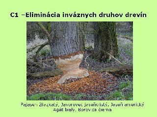 Ochrana a manažment (3)