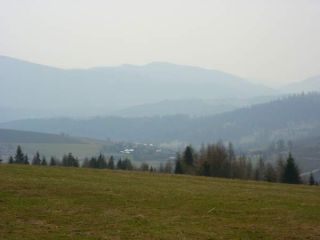 Oľšavica