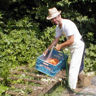 pán Weidenthaler