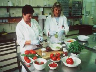 Pesticidy - neviditelna hrozba - foto: archiv Greenpeace