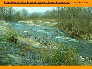 Príklady revitalizácie riečnych systémov a mokradí