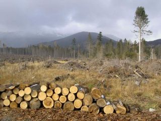 Tatry rok po(2)